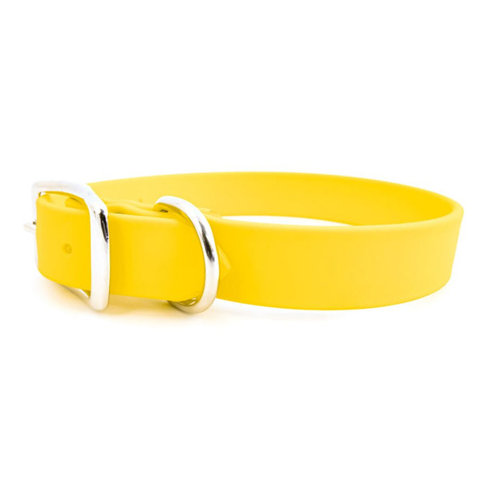 Sparky's Standard Buckle Collar