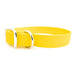 Sparky's Standard Buckle Collar