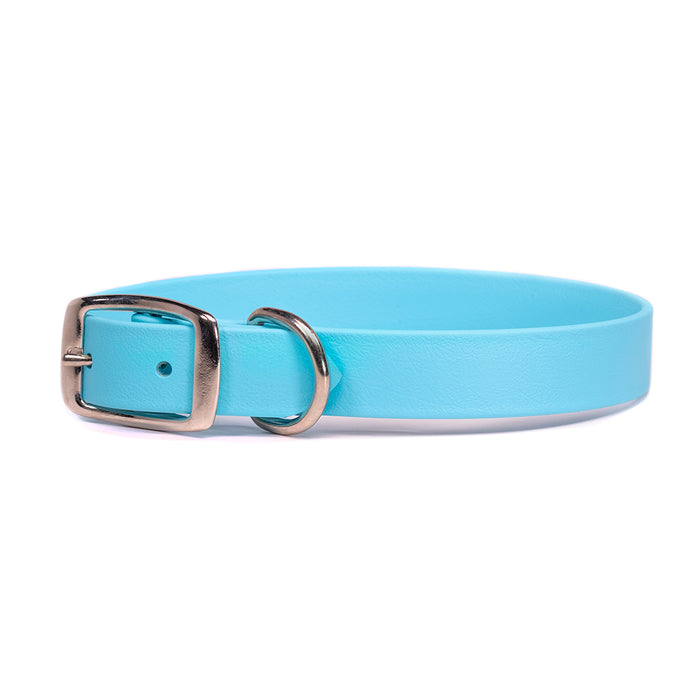 Sparky's Choice Standard Buckle Collar