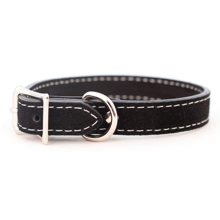 Saratoga Suede Collar