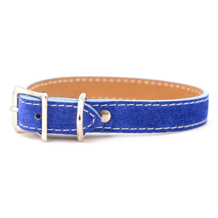 Saratoga Suede Collar