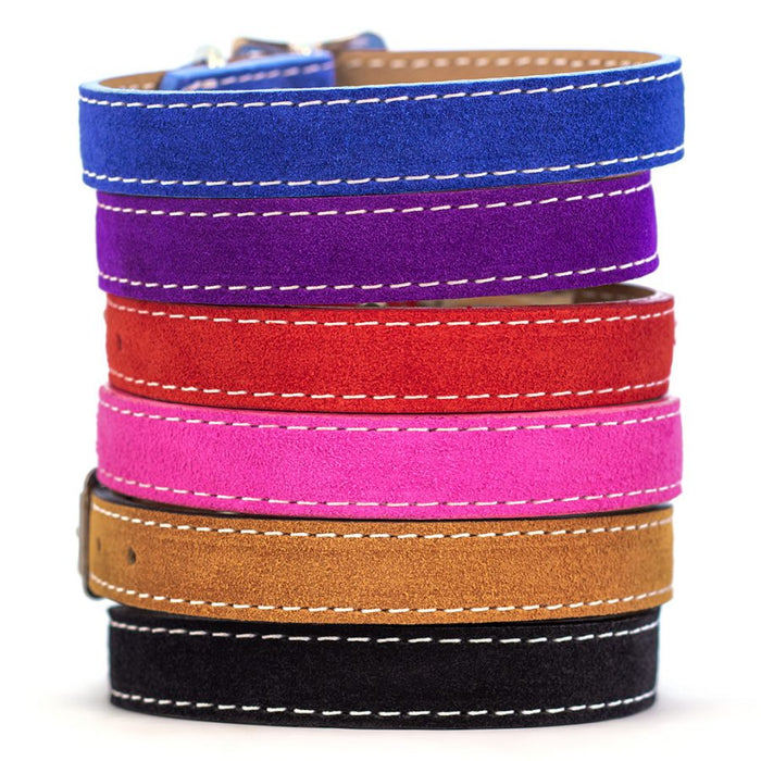 Saratoga Suede collar group