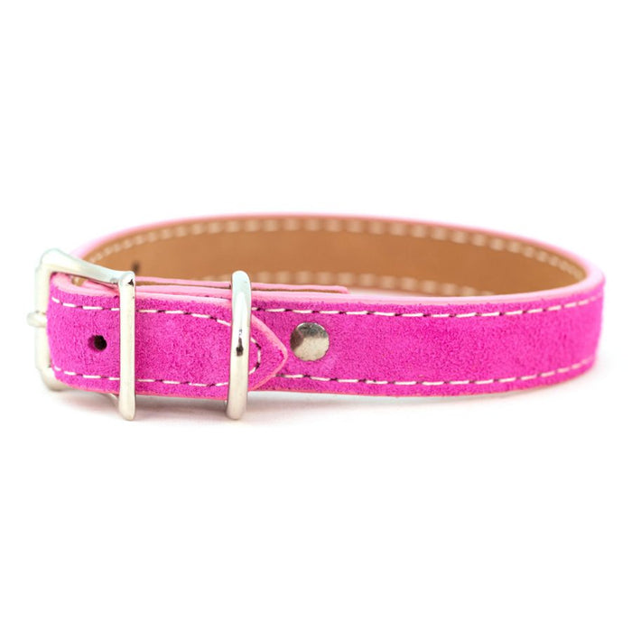 Saratoga Suede Collar