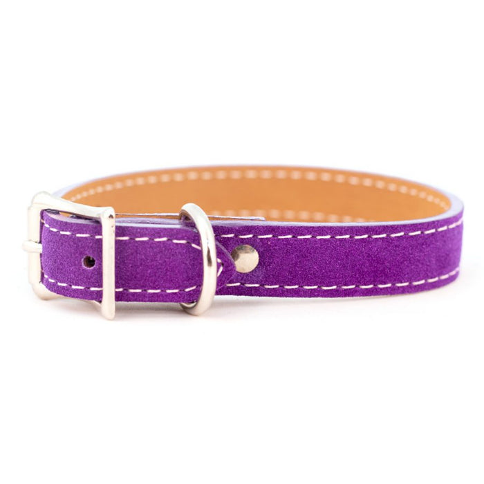 Saratoga Suede Collar