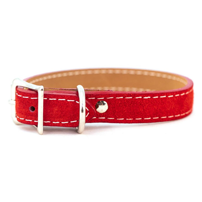 Saratoga Suede Collar