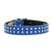 cobalt blue Tuscan Italian leather dog collar