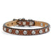 Tuscan Italian Leather Mini collar in Brown with Swarovski crystals