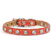 Tuscan Italian Leather Mini collar in Orange with Swarovski crystals