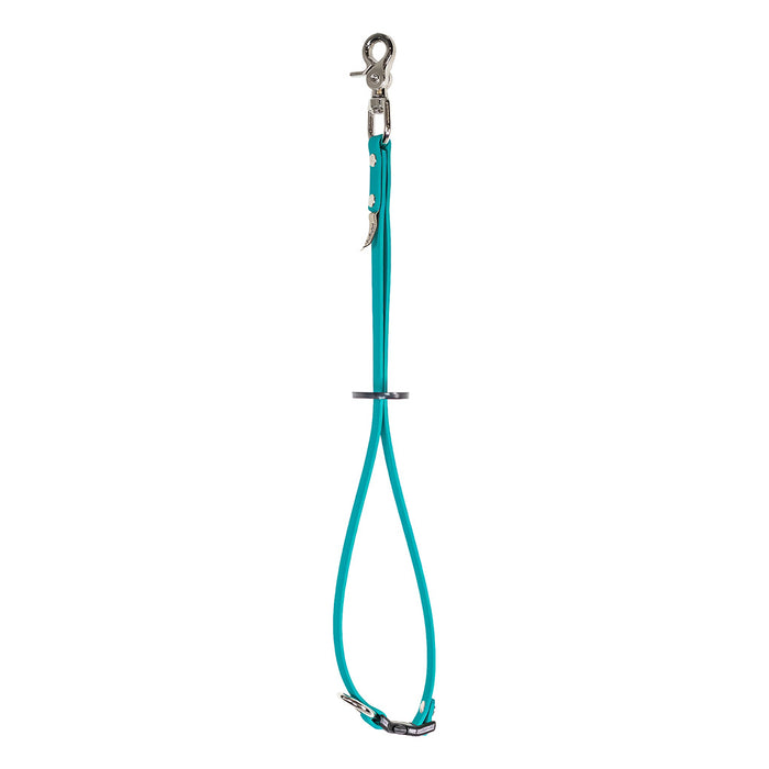 waterproof grooming loop with side release buckle in teal