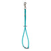 waterproof grooming loop with side release buckle in teal