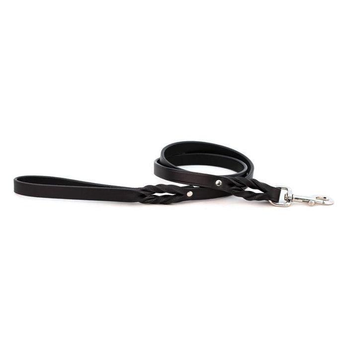 Braided Leash