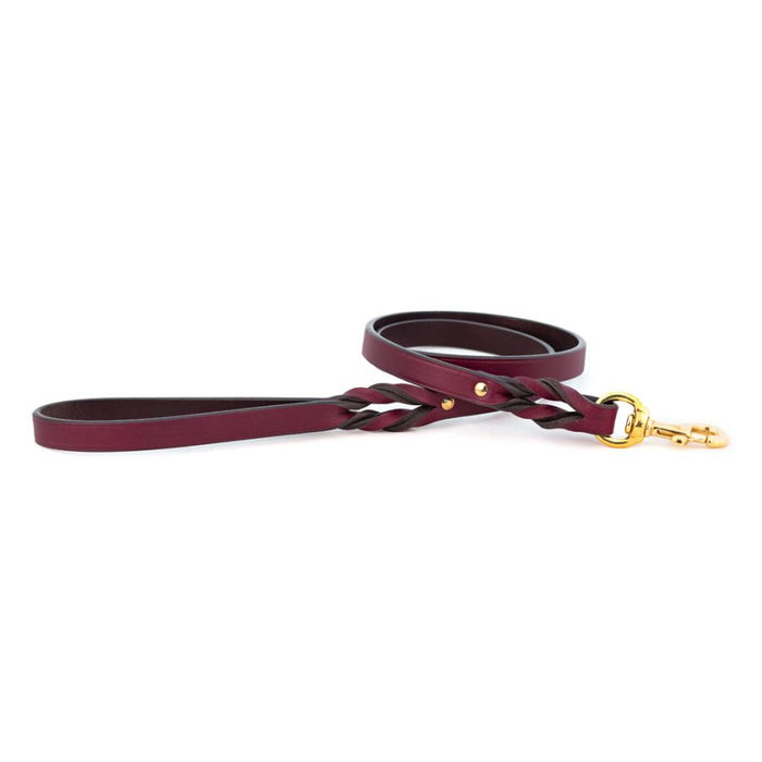 Braided Leash