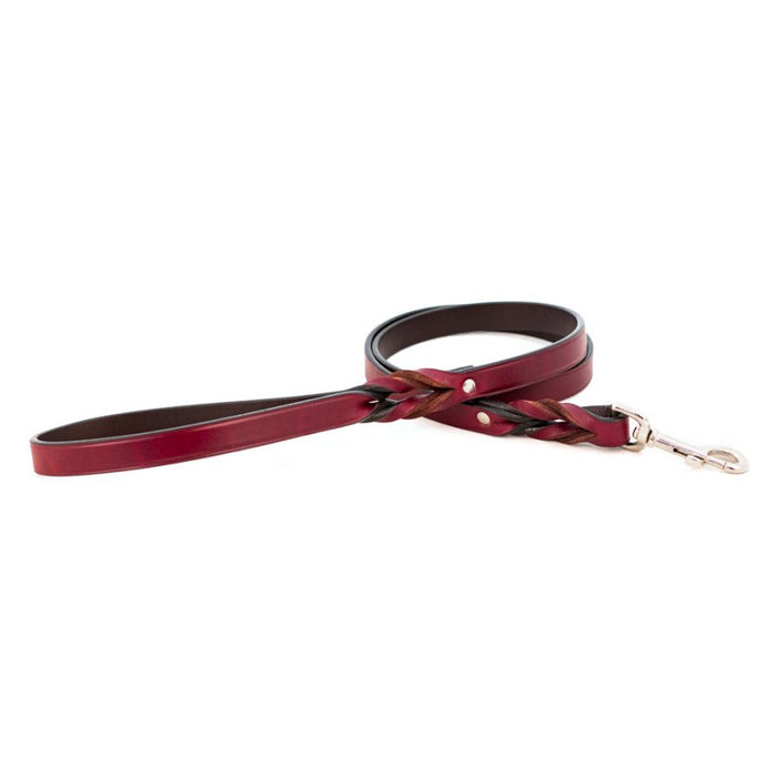 Braided Leash