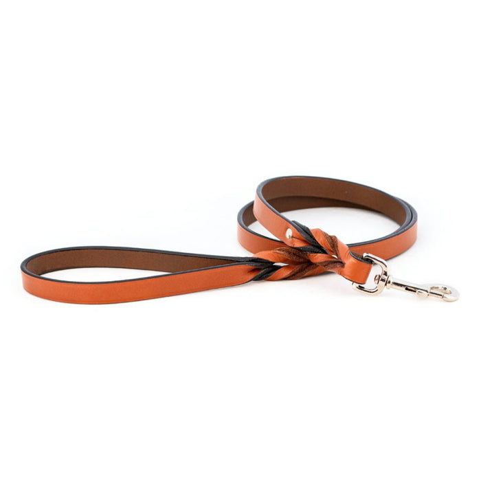 Braided Leash