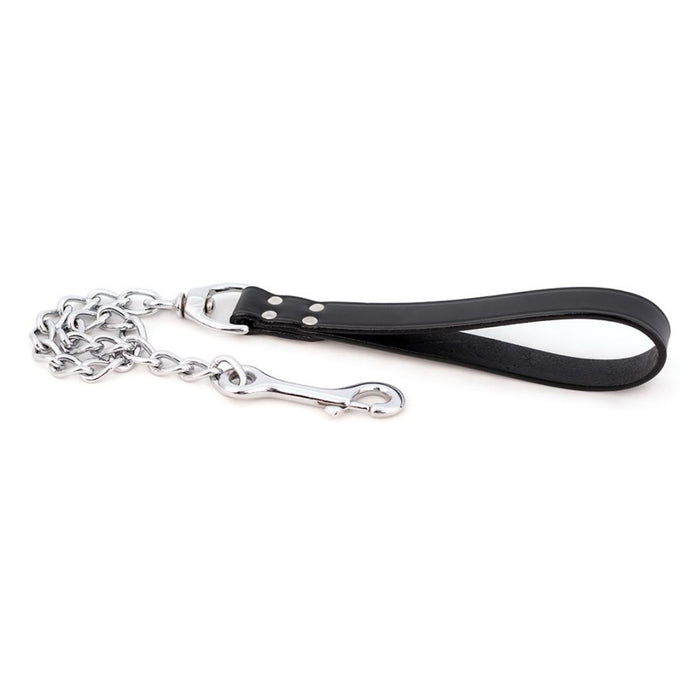 Chain Leash