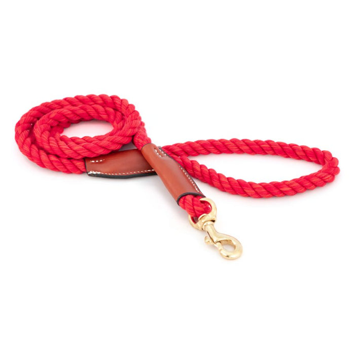 Red Cotton Rope Snap Leash