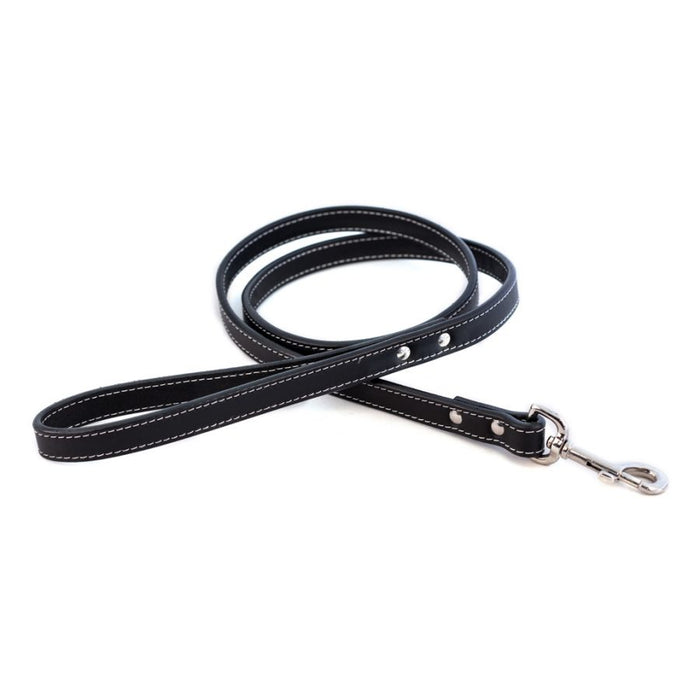 Dover Court Leash