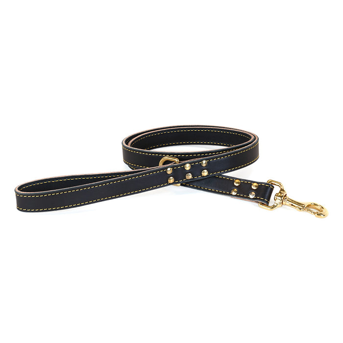 Lake Country Stitched Leash