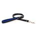 Padded Leather Leash in black and blue
