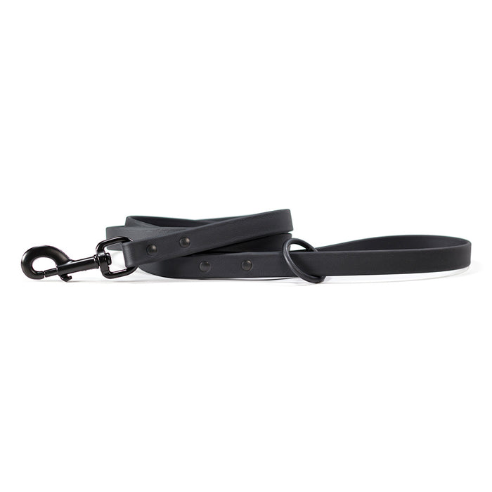 Range Day Leash