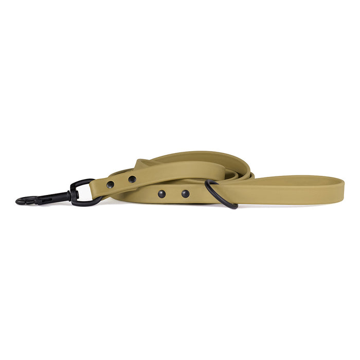 Range Day Leash
