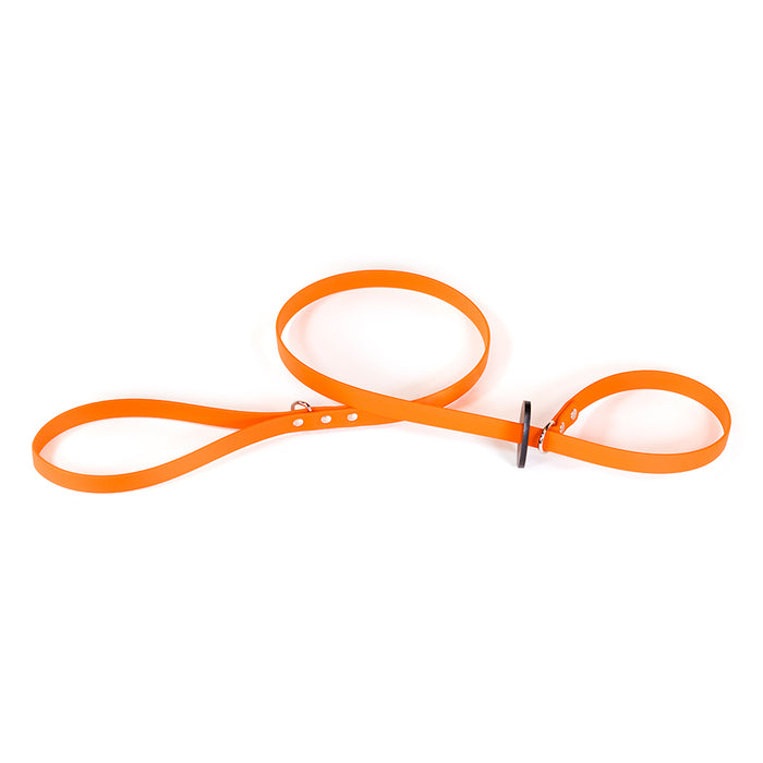 Sparky's Grooming Slip Leash