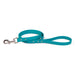 Sparky's Choice Leash in the color teal