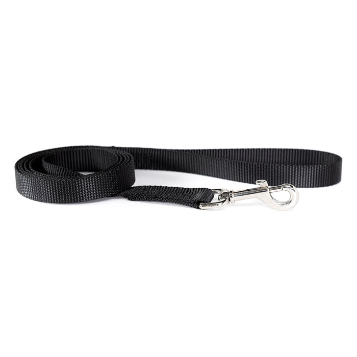 Auburn Leathercrafters black nylong web training leash