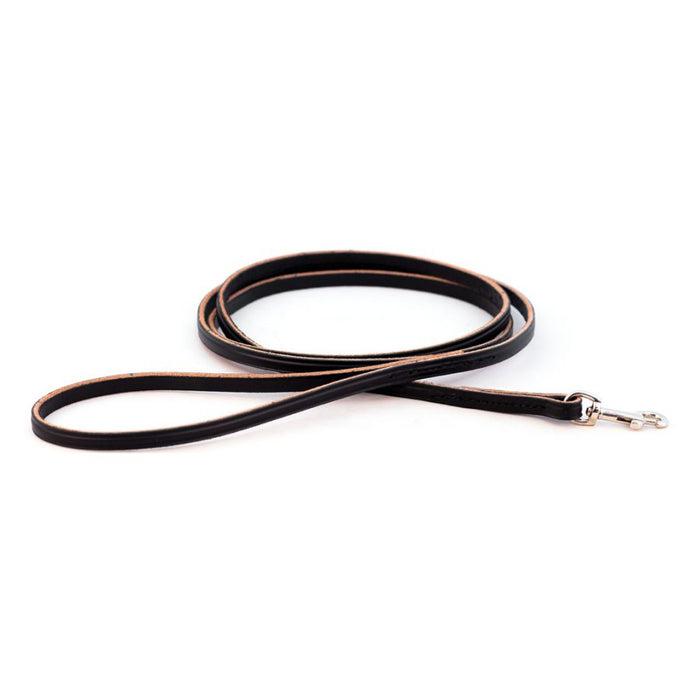 narrow 1/4" dog show lead training leash in black