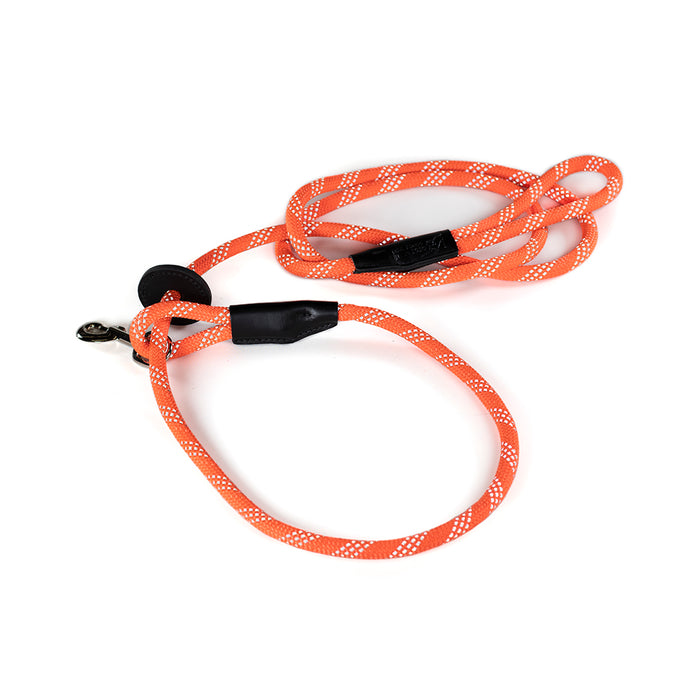 reflective orange leash with disk to secure as harness leash