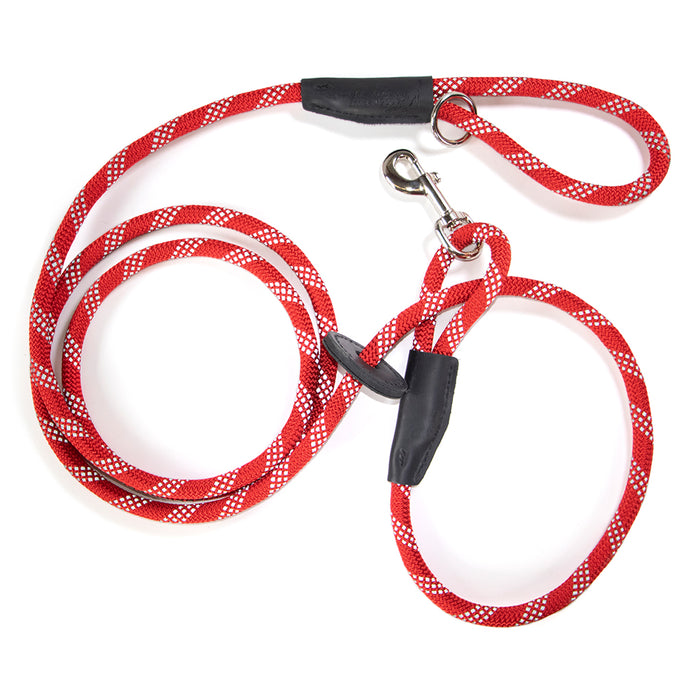 reflective red leash with disk to secure as harness leash