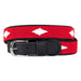 a tail we could wag Belt in Diamond