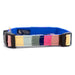 At the Beach Bahama striped dog collar with pastel stripes