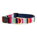 a tail we could wag Collar At the Beach Maui striped dog collar in pinks and blues