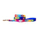 God's Eye Gold dog leash handwoven colorful traditional God's Eye pattern on multi-color background