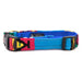 Moab Sky side release dog collar with green background and colorful traditional patterns