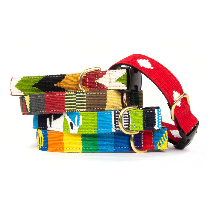 group of a tail we could wag dog collars