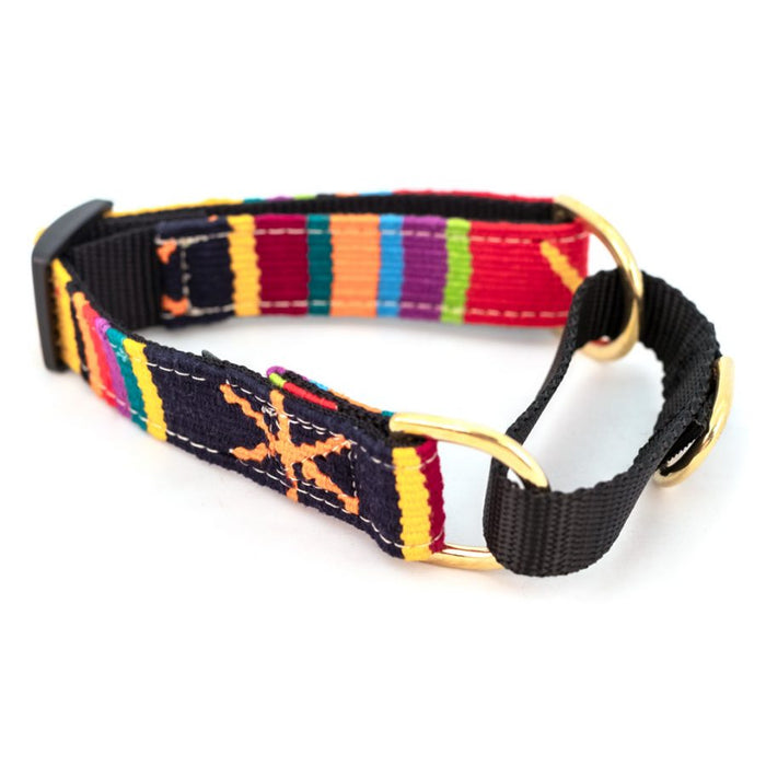 a tail we could wag - Collar - Sun Valley Holiday Martingale - Web