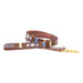 a tail we could wag dog leash with brown handwoven fabric with tan and blue patterns and a brass snap