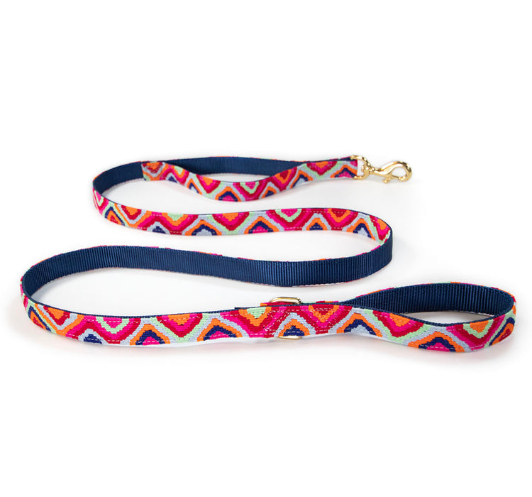 a tail we could wag Retro leash with traffic handle