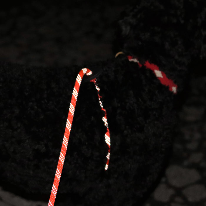 black dog wearing Auburn Leathercrafters' reflective red convertible harness leash at night