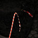 black dog wearing Auburn Leathercrafters' reflective red convertible harness leash at night