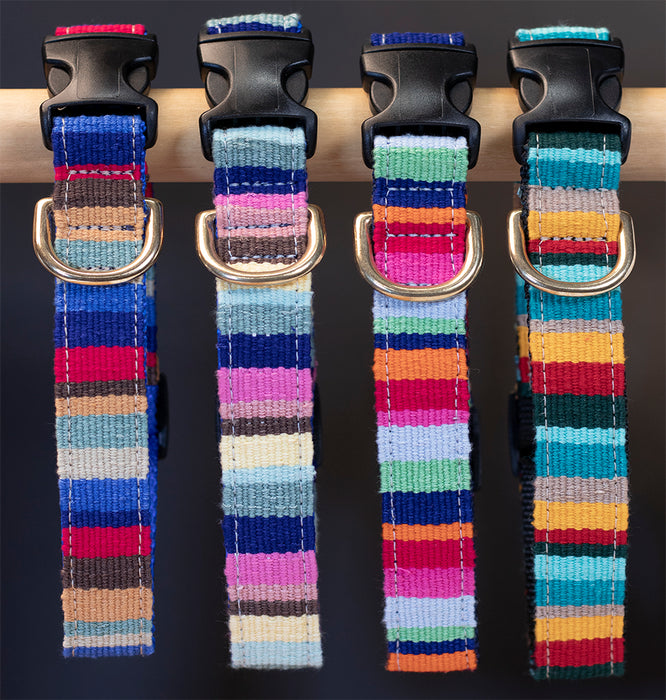 a tail we could wag Side-Release Dog Collar - At the Beach