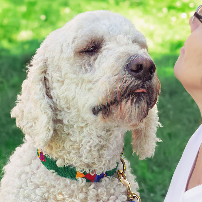 A white dog, wearing a Side-Release Dog Collar by a tail we could wag in the Foolish Fish Grass pattern, leans forward to lick a woman's face.