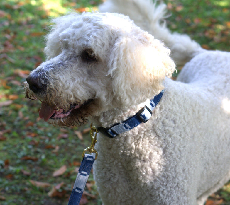a tail we could wag Leash - Game Day