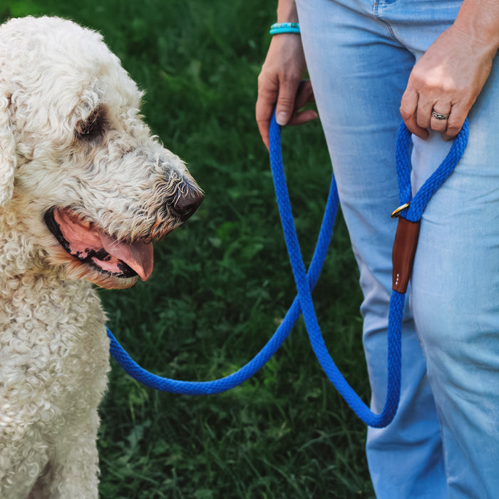 A woman stands next to a white dog, holding a Braided Cotton Rope Leash in Nautical Blue.