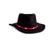 a tail we could wag Diamonds hatband on black hat