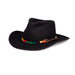 a tail we could wag Rasta hatband on black hat