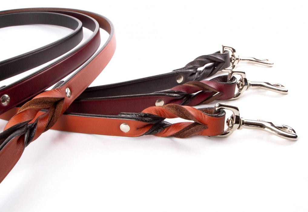 Braided Leash