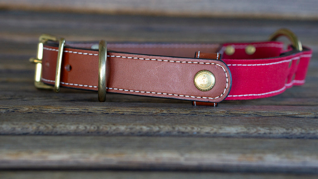Upland & Downstream leather center ring collar with red waxed cotton and brass hardware